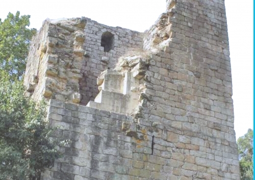 Apertura ao público da Torre de Fornelos