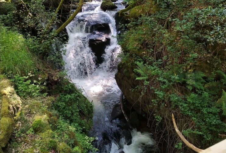 Pozo del Infierno y ponte peatonal sobre el río Ribadil